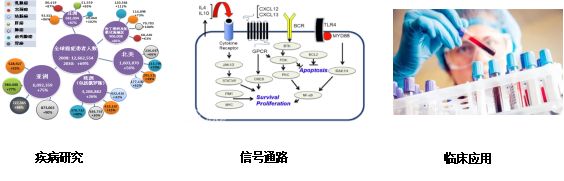 图片 3.jpg